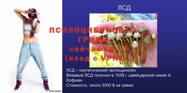 бутират Белокуриха